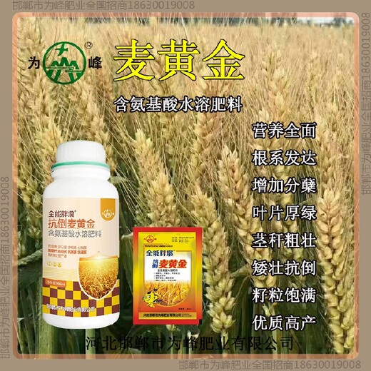 一袋一桶水穗甸甸小麦增产剂定做小麦麦黄金厂家批发招商