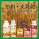 小麦增产剂叶面肥图