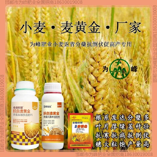 縮節小麥增產(chǎn)劑是什么小麥麥黃金廠(chǎng)家批發(fā)招商