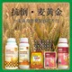 小麦穗甸甸小麦增产剂图