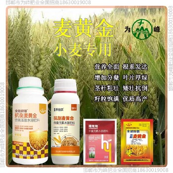缩节为峰肥业小麦增产剂叶面肥小麦麦黄金厂家批发招商