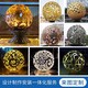 發(fā)光不銹鋼發(fā)光鏤空球雕塑圖