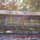 门头沟屋顶庭院绿化设计碳化木亭子图