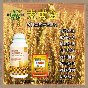 小麦为峰肥业小麦增产剂控旺剂小麦麦黄金厂家批发招商
