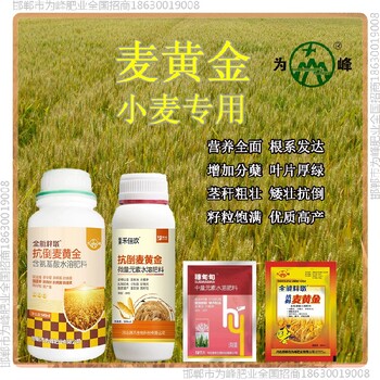 小包装为峰肥业小麦增产剂招商小麦麦黄金厂家批发招商