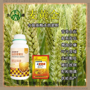 返青为峰肥业小麦增产剂批发小麦麦黄金厂家批发招商