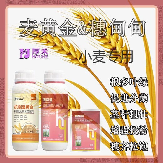 返青增产素小麦增产剂控旺剂小麦麦黄金厂家批发招商