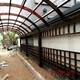 海淀花園庭院綠化設(shè)計碳化木葡萄架產(chǎn)品圖