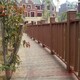 东城家庭庭院绿化设计碳化木围栏图