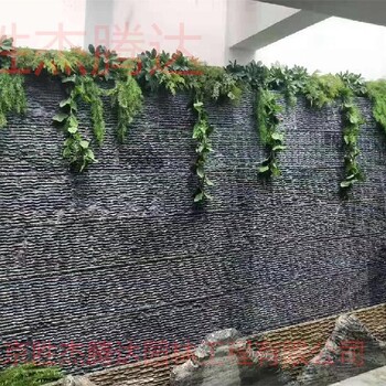 昌平别墅庭院绿化设计假山水池水幕墙
