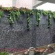 怀柔别墅庭院绿化设计假山水池水幕墙图