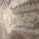 庭院綠化設計水系圖