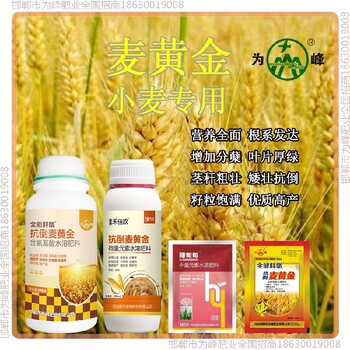 缩节为峰肥业小麦增产剂厂家小麦麦黄金厂家批发招商