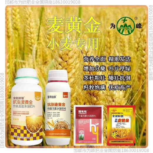 分蘖胖墩小麦增产剂控旺剂小麦麦黄金厂家批发招商