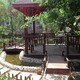 別墅庭院綠化設計圖