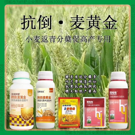 小包装为峰肥业小麦增产剂产量高小麦麦黄金厂家批发招商