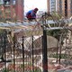 房山庭院綠化圖