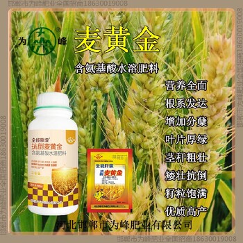 返青穗甸甸小麦增产剂抗倒药小麦麦黄金厂家批发招商