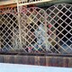 西城阳台庭院绿化设计塑木栅栏产品图