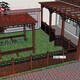 阳台庭院绿化设计图