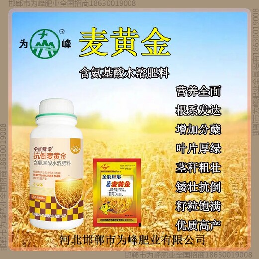 分蘖增产素小麦增产剂控旺剂小麦麦黄金厂家批发招商