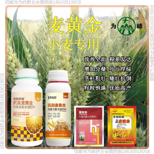 小包装为峰肥业小麦增产剂哪里卖小麦麦黄金厂家批发招商