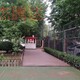 崇文屋顶庭院绿化设计防腐木地板花箱图