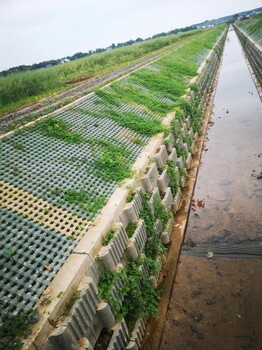 宜春市/金磐生態擋土墻/植草磚/六角磚/榮創智水公司