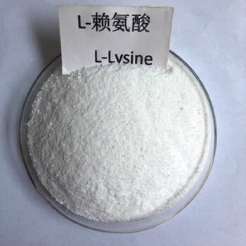 广西河北华阳L-赖氨酸作用