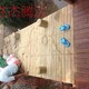 朝阳家庭花园设计防腐木地板防腐木平台产品图