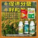 为峰肥业水稻抗倒，稻黄金厂家招商水稻叶面肥产品图