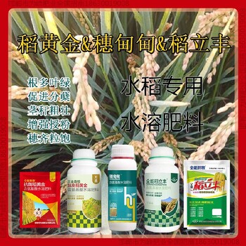 水稻為峰肥業(yè)水稻抗倒效果好，稻黃金廠家招商水稻葉面肥