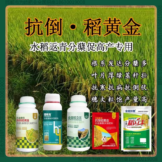 小包装穗甸甸水稻抗倒使用说明，稻黄金厂家招商水稻叶面肥