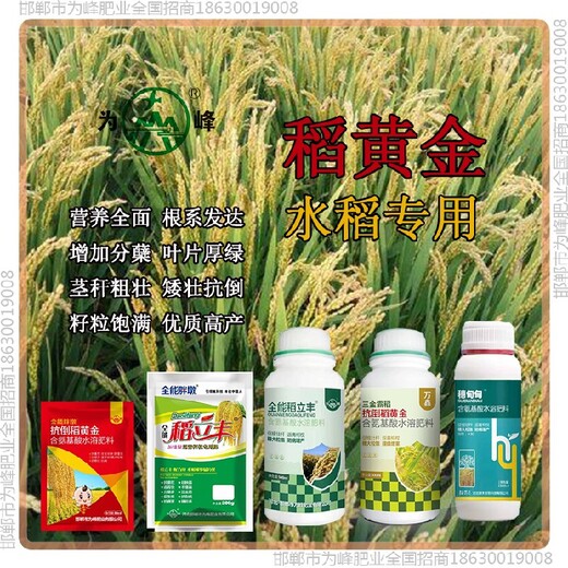 控旺胖墩水稻抗倒貼牌，稻黃金廠家招商水稻葉面肥