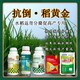 控旺胖墩水稻抗倒貼牌，稻黃金廠家招商水稻葉面肥產(chǎn)品圖