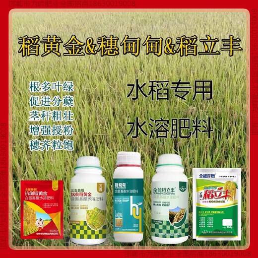 增产为峰肥业水稻抗倒批发，稻黄金厂家招商水稻叶面肥