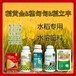 一袋一桶水增产素水稻抗倒调节剂，稻黄金厂家招商水稻叶面肥