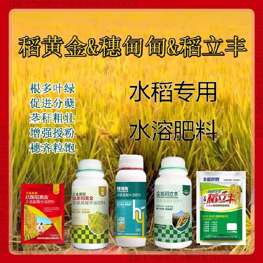 稻黃金水稻抗倒葉面肥，稻黃金廠家招商水稻葉面肥