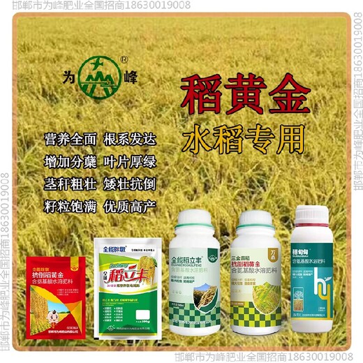 水稻为峰肥业水稻抗倒抗倒药，稻黄金厂家招商水稻叶面肥