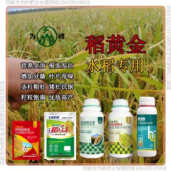 水稻稻立豐水稻抗倒使用說明，稻黃金廠家招商水稻葉面肥