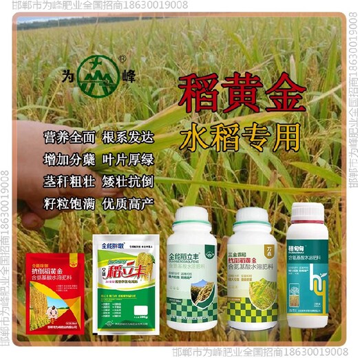 分蘖穗甸甸水稻抗倒调节剂，稻黄金厂家招商水稻叶面肥