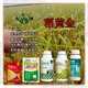 控旺稻黃金水稻抗倒圖