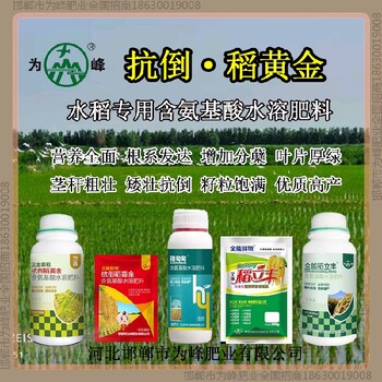 分蘗穗甸甸水稻抗倒使用說(shuō)明，稻黃金廠家招商水稻葉面肥