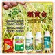 縮節(jié)胖墩水稻抗倒圖