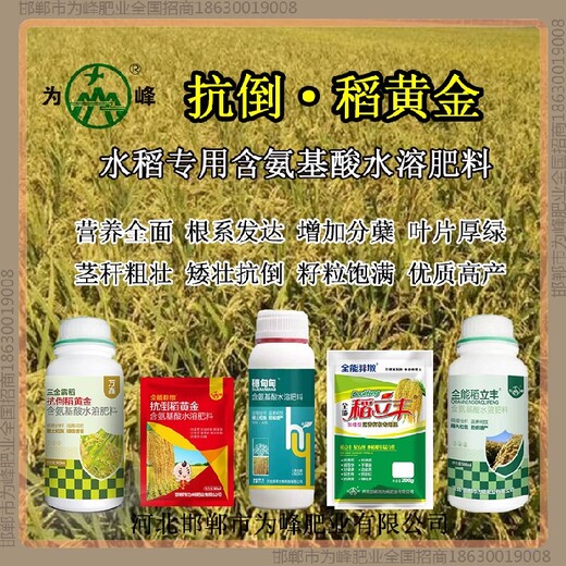 水稻增产素水稻抗倒批发，稻黄金厂家招商水稻叶面肥