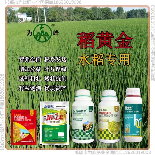 稻立丰水稻抗倒调节剂，稻黄金厂家招商水稻叶面肥