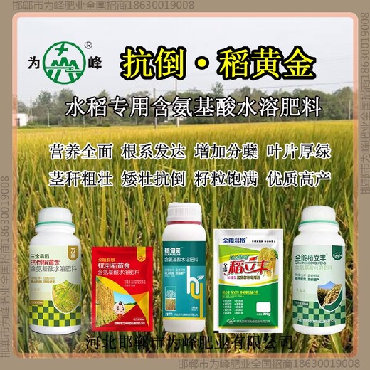 返青增产素水稻抗倒是哪个公司的，稻黄金厂家招商水稻叶面肥