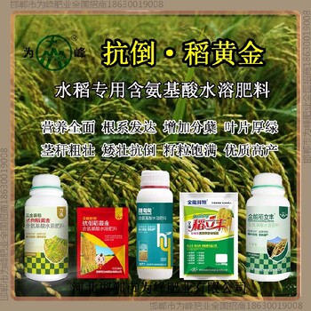 小包裝增產(chǎn)素水稻抗倒控旺劑，稻黃金廠家招商水稻葉面肥