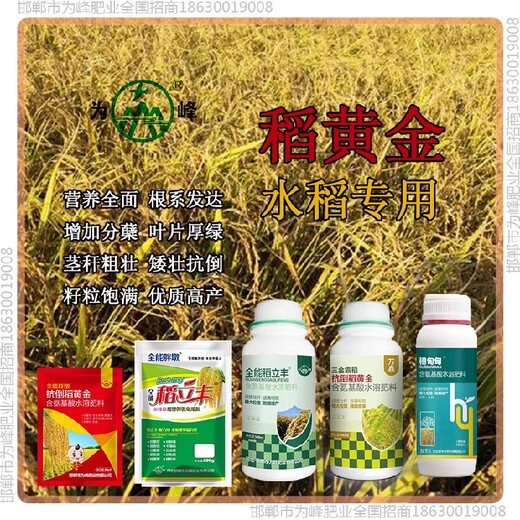 为峰肥业水稻抗倒是哪个公司的，稻黄金厂家招商水稻叶面肥