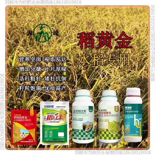 增產(chǎn)胖墩水稻抗倒招商，稻黃金廠家招商水稻葉面肥